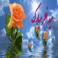 عکس نماهنگ « قلاش » با صدای محسن چاوشی به مناسب عید فطر