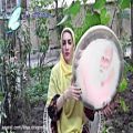 عکس دف نوازی آهنگ دخت شیرازی -آهنگ شیراز -روز شیراز مبارک -موسیقی سنتی و اصیل ایرانی