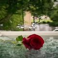 عکس اهنگ صدای بارون (خواننده )=راغب