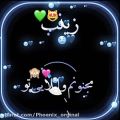 عکس زینب جان تقدیم به تو//کلیپ عاشقانه//عاشقانه جدید//فیلم عاشقانه//عاشقانه اسمی