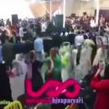 عکس شروه زهره دادشاهی در وصف استاد سجاد رزمجویی