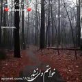 عکس موزیک عاشقانه بهنام بانی/۵