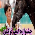عکس جشنواره اسب ترکمن