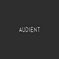 عکس معرفی کارت صدا آدینت Audient iD14 MkII Audio interface | داور ملودی