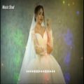 عکس آهنگ فوق العاده زیبای عروس خوشگل ما از سرژیک با خوانندگی مجتبی نصیری