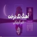 عکس آهنگ تک درخت (بیات اصفهان) از اکبر گلپایگانی - Tak Derakht ( Akbar Golpayegani )