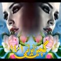 عکس بهترین آهنگ های ایرانی | گلچین شاد جدید | آهنگ های عاشقانه