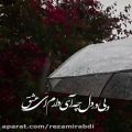 عکس غیر از تماشای تو در باران.../ آهنگ عاشقانه حجت اشرف زاده