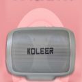 عکس معرفی و آنباکس اسپیکر بلوتوث koleer مدل s1000