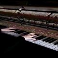 عکس پیانو | ودیو ارامش بخش | موسیقی