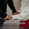 عکس کلیپ عاشقانه / اهنگ عاشقانه / استوری عاشقانه و احساسی