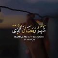 عکس کلیپ دعا در ماه رمضان _ کلیپ ماه رمضان برای استوری _ دعای ماه رمضان برای وضعیت