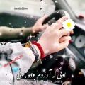 عکس عاشقانه شاد _ شاخه نبات من _ کلیپ قشنگ برای استوری _ کلیپ زیبا برای وضعیت