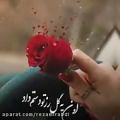 عکس کلیپ عاشقانه _اون یه گل رز داد دستم...