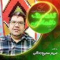 عکس دکلمه مجتبی جان جان از فیروزان همدان - مسابقات کشوری دکلمه گفتاهنگ دکلمافون