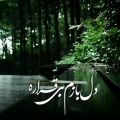 عکس آهنگ مرتضی پاشایی/دوباره نم نم بارون