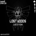 عکس Lost Woods Dubstep Remix