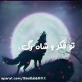 عکس توله گرگی که تو فکر شاهرگ و خونه منی...