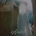 عکس شعرخوانی امام رضایی آقای برقعی: نمک گیر تبار توست این کشور