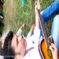 عکس اجرای اهنگ حبیب با گیتار بر سر مزارش توسط استاد امید