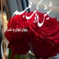 عکس آهنگ زیبای شیش دونگ قلبم بخوای نخوای بنامت _ کامران مولایی