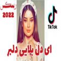 عکس ریمیکس شاد 2022 _ آهنگ ای دل بلایی دلبر بالا بلایی دلبر