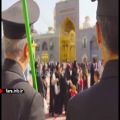 عکس ترانه زیبای خورشید خراسان که توسط گروه طاها اجرا شده - شیراز