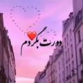 عکس عاشقانه شاد|عاشقانه برای عشقم|کلیپ زیبا وضعیت|عاشقانه جدیداینستا|عاشقانه زیبا