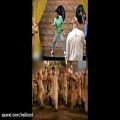 عکس مقایسه ی رقص هندی حامد اهنگی با اصل ان