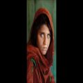 عکس آهنگ فوق‌العاده زیبای افغانی | موزیک محلی افغانی | آهنگ شاد افغانی