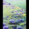 عکس چاپ انواع کتاب در نشر حوزه مشق ۰۹۳۹۳۳۵۳۰۰۹/روستای پلکانی دولتی کردستان