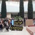 عکس گروه موسیقی سنتی جشن ارگانی و سازمانی تهران/گروه سنتی شاد عروسی ۰۹۱۲۷۹۹۵۸۸۶