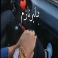 عکس کلیپ عاشقانه جدید زیبا دونفره - کلیپ زیبا و شاد ، دلبر نازم