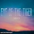 عکس Eye Of The Tiger - Survivor