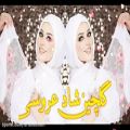 عکس شادترین آهنگ های عروسی | گلچین پرطرفدار ایرانی | آهنگ های بندری شاد