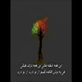 عکس زنده یاد جلال همتی ـ آشفته حالی