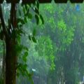 عکس صدای دلنشین باران