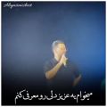 عکس معرفی علی یاسینی در کنسرت آصف آریا