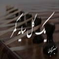 عکس آهنگ یک گل سایه کمر با ساز سنتور (حسین محمدی)