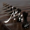 عکس آهنگ په‌پو سلیمانی با ساز سنتور (حسین محمدی)