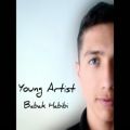 عکس Babak Habibi - Young artist - بابک حبیبی