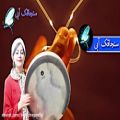 عکس تکنوازی دف - دف نوازی با ریتم آهنگ تو بمونی یا نمونی - موسیقی سنتی و اصیل ایرانی