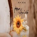 عکس کلیپ تولد 8 خرداد | اهنگ زیبا | تبریک تولد | آهنگ شاد و زیبا