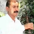 عکس استادنبی فیروزی نوازنده کمانچه