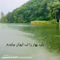 عکس بهار