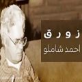 عکس دکلمه شعر: احمد شاملو