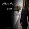 عکس ویدئو دکلمه دکان عاشقی به نویسندگی مظاهر اصغری و گویندگی عاطفه رضایی