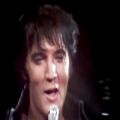 عکس love me tender elvis presley live