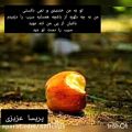 عکس شعر از دکتر حمید مصدق. سیب ( 1 ) با صدای پریسا عزیزی