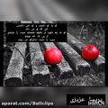 عکس شعر از دکتر حمید مصدق. سیب. ( ۳ ) با صدای پریسا عزیزی